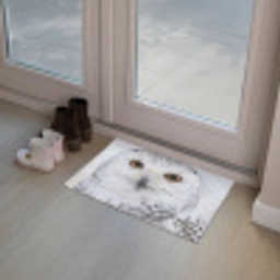 Sneeuwuil - Oog - Wildlife - Wit Deurmat klein -sfeer3