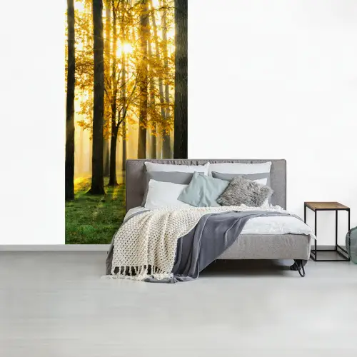 Bos - Zon - Bomen - gras - Landschap fotobehang vinyl groot -slaapkamer