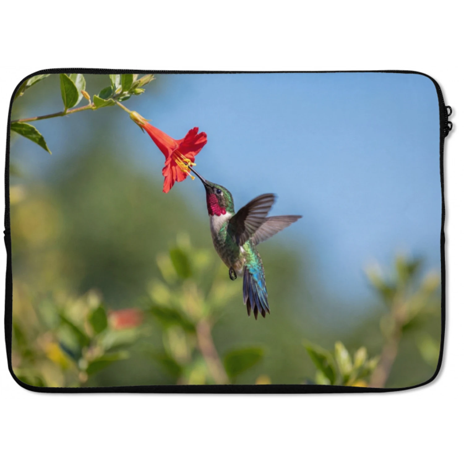 Kolibrie - Bloem - Natuur - Groen laptophoes neopreen klein -zkaufland3dotto