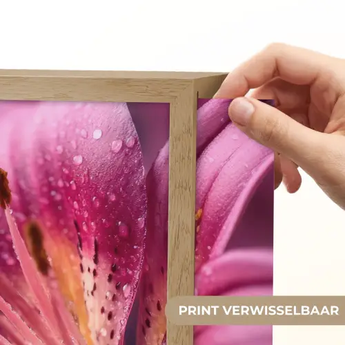 Roze - lelie - Dauwdruppels Light Box met batterij (Wandlamp) middel -USP_websiteprintNL