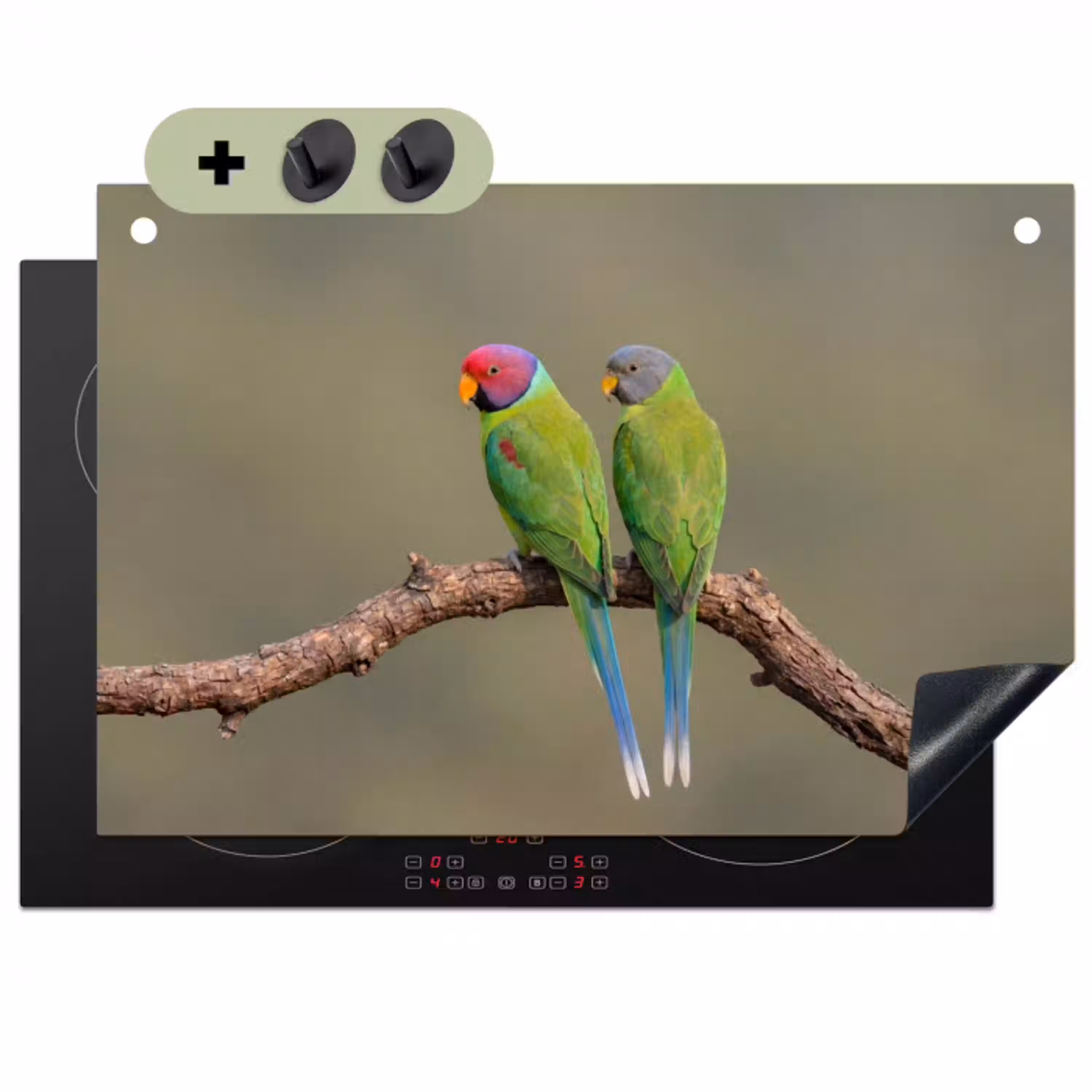 Papagaai - Tak - Natuur - Kleurrijk Inductie beschemer met haakjes klein -3d