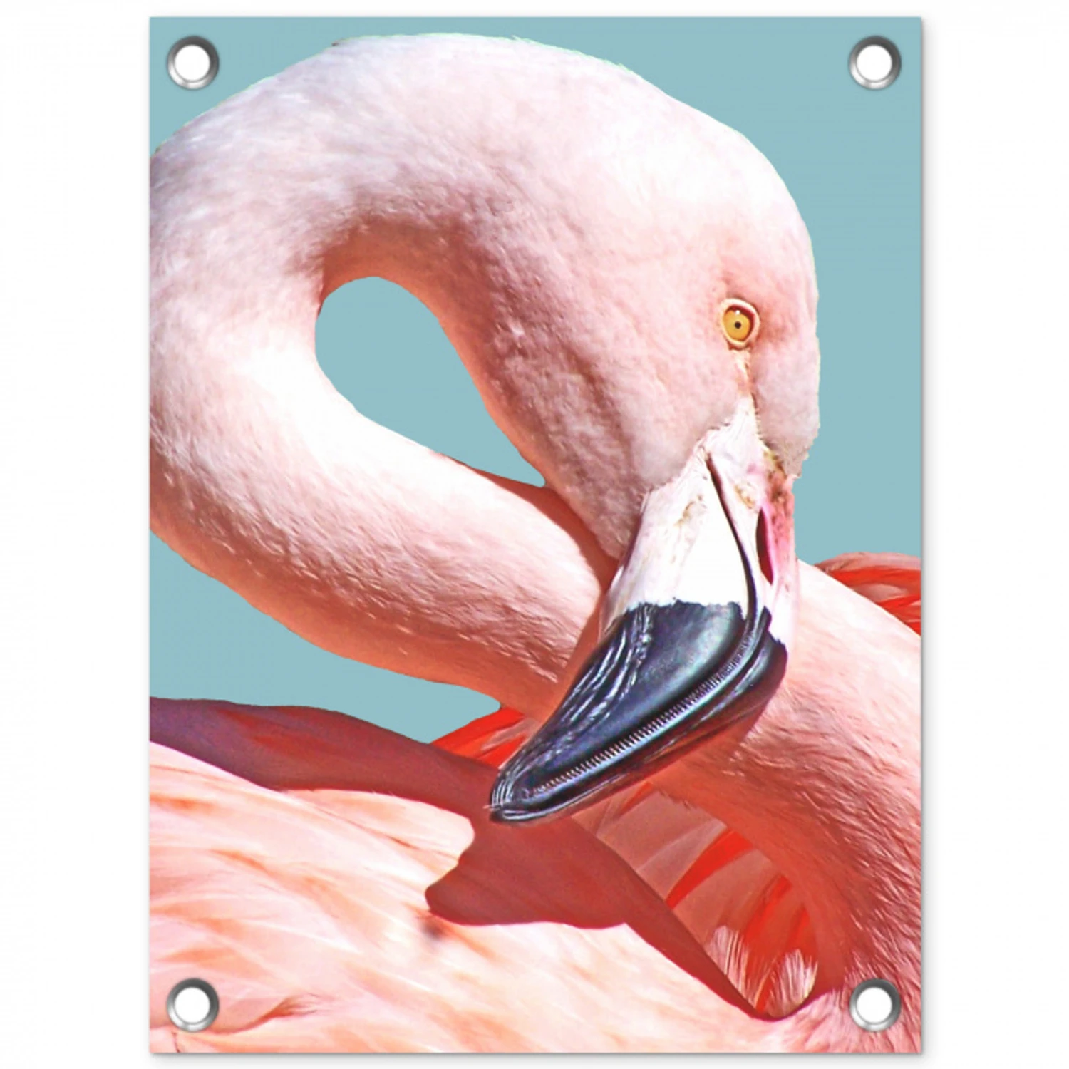Close-up flamingo tuinposter los doek klein -3d