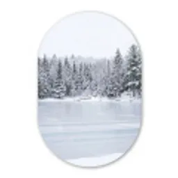 Meer - Dennen - IJs - Winter - Rustgevend Wandcirkel Ovaal Forex klein -3d