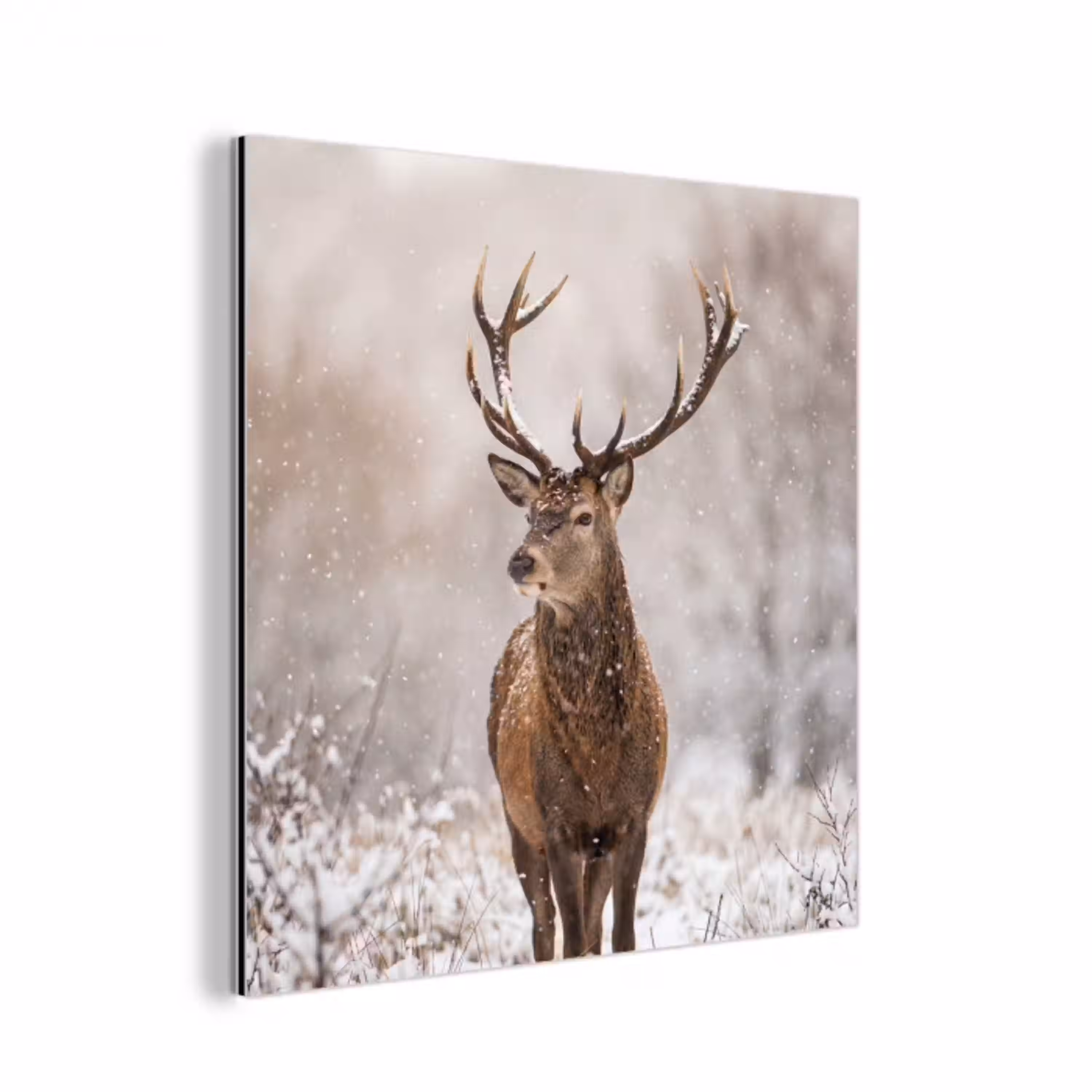 Edelhert - Bos - Sneeuw - Winter - Majestueus aluminium wit klein -3d