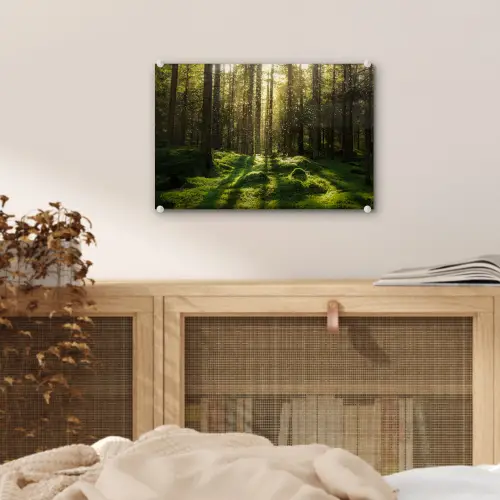 Bomen - Bos - Mos - Planten - Zon - Natuur plexiglas 5mm klein -sfeer4