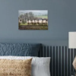 Schapen - Rij - Weide - Dieren - Platteland poster papier klein -sfeer2