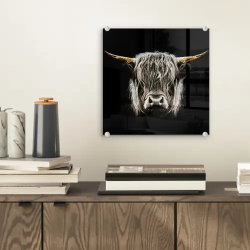Schotse hooglander - Goud - Hoorns - Zwart wit - Koe - Dieren plexiglas 5mm klein -sfeer1