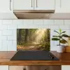 Zonlicht - Bospad - Bomen keuken achterwand spatscherm klein -sfeer2
