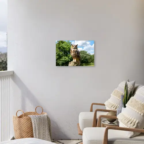 Uil - Boomstronk - Bos - Lucht Tuinposter op houten frame 2 cm dik klein -sfeer1