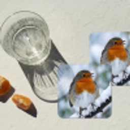 Roodborstje - Tak - Sneeuw - Winter - Levendig onderzetter kurk middel -sfeer4
