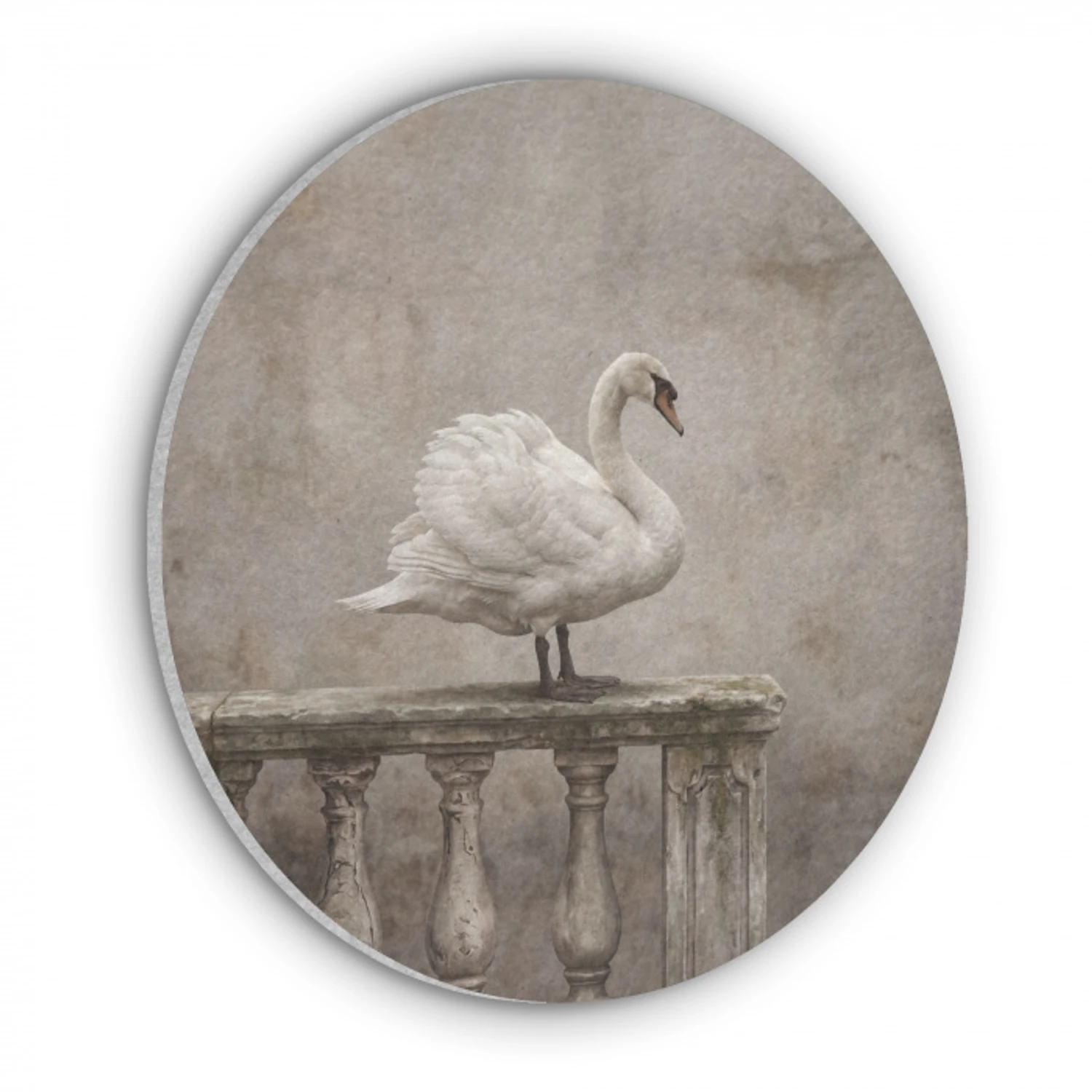 Zwaan - Elegant - Dieren - Wit Akoestische PET Vilt - Rond klein -3d