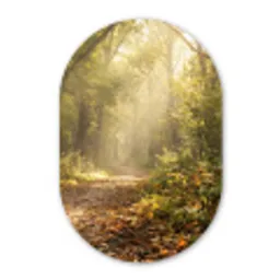 Zonlicht - Bospad - Bomen Wandcirkel Ovaal Forex klein -3d