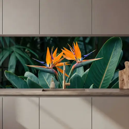 Paradijsvogel - Bloem - Exotisch keuken achterwand 2 middel zz_3dshopping