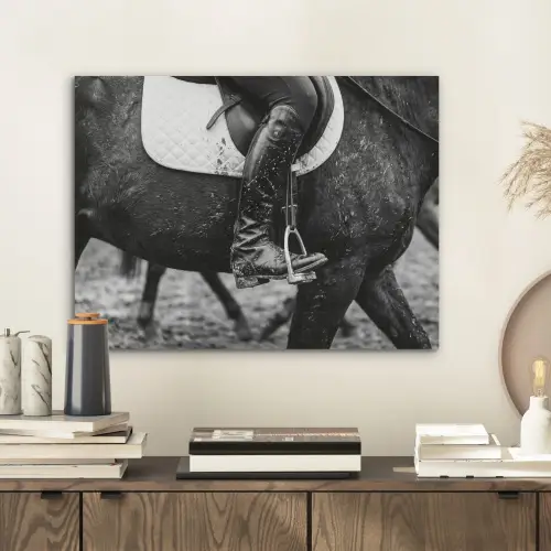 Paard - Sport - Zwart - Wit PET vilt klein -sfeer1