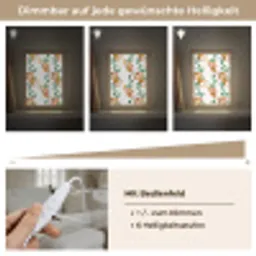 Apen - Lianen - Kleurrijk Light Box met kabel (Tafellamp) klein 925 -USP_dimbaarDE