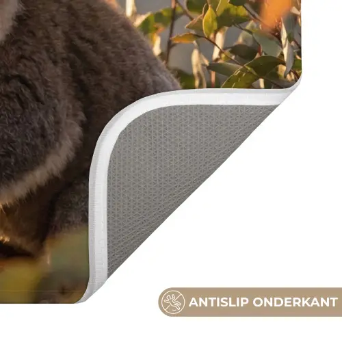 Koala - Bladeren - Ochtendlicht WCmat klein -USP_AntislipNL