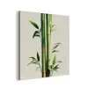 Bamboestengels - Sierlijk - Groen aluminium wit klein -3d