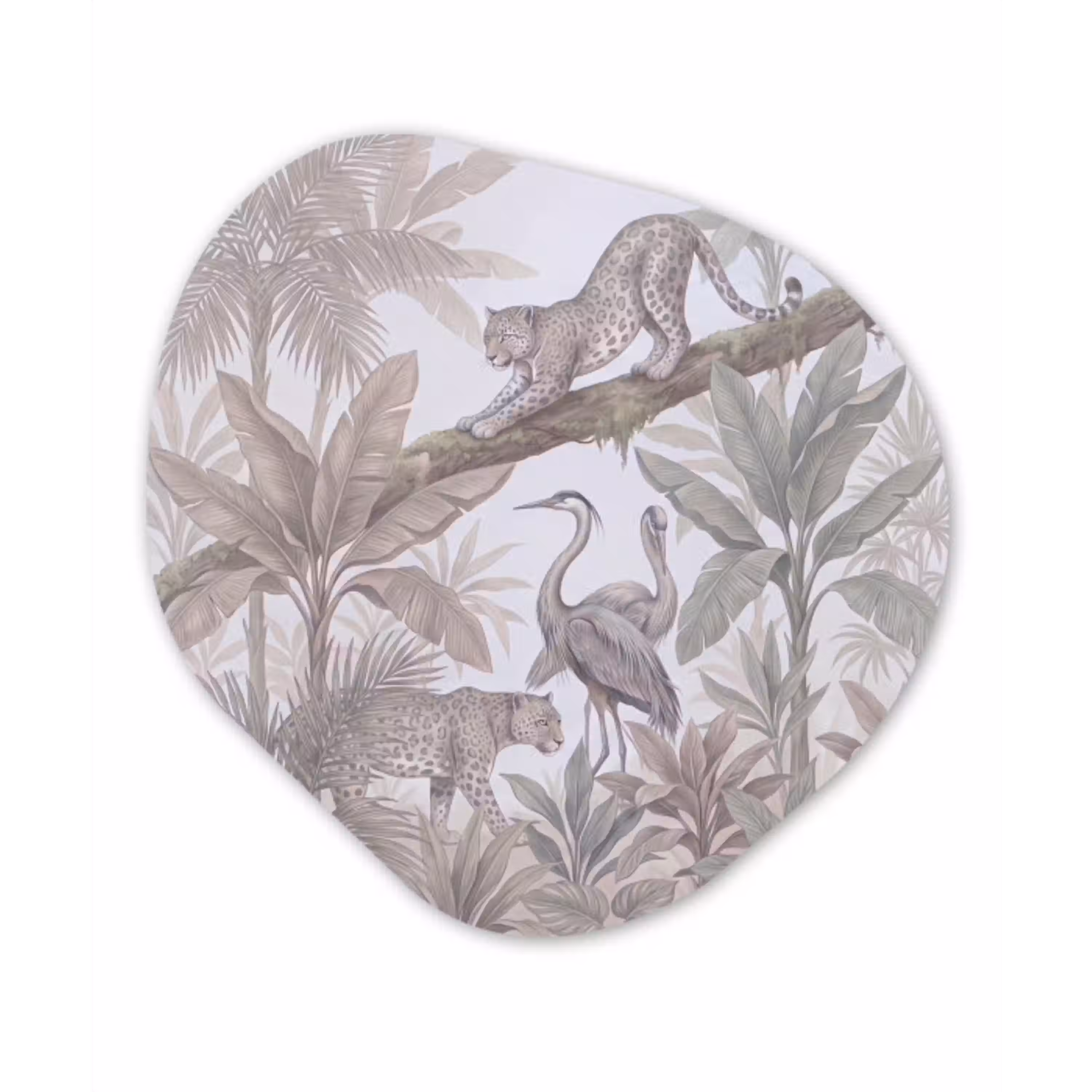 Kat - Vogel - Jungle - Illustratie - Dieren Wandcirkel Organisch Forex 3mm klein -3d
