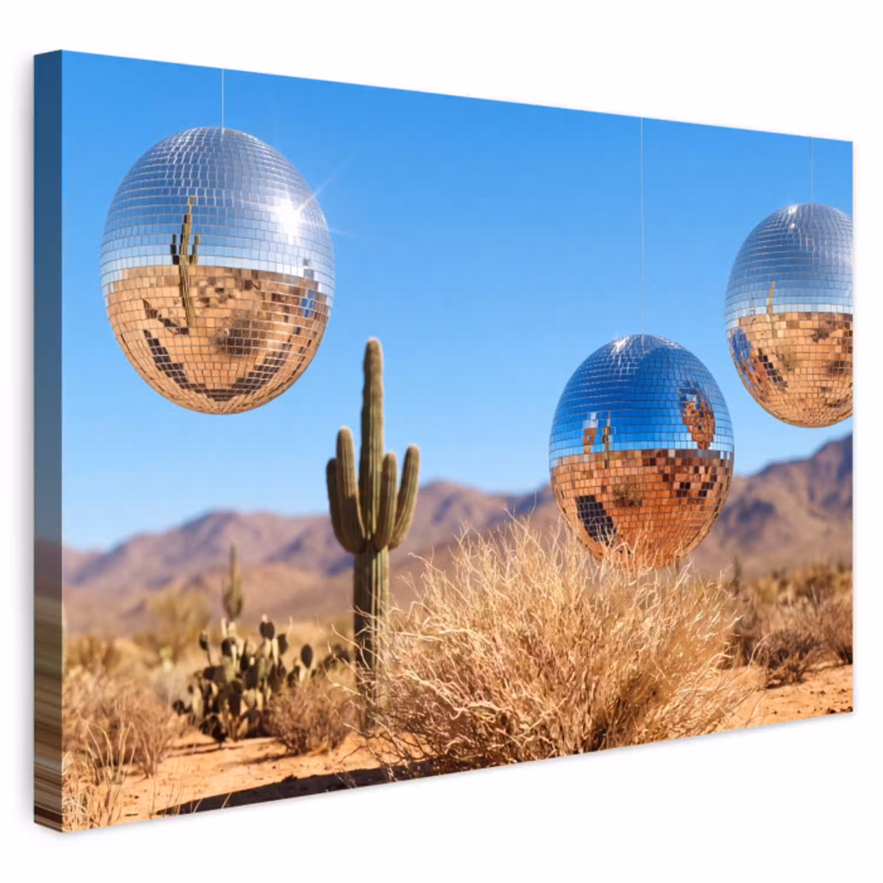 Woestijn - Spiegelbal - Kunst Tuinposter op houten frame 2 cm dik klein -3d