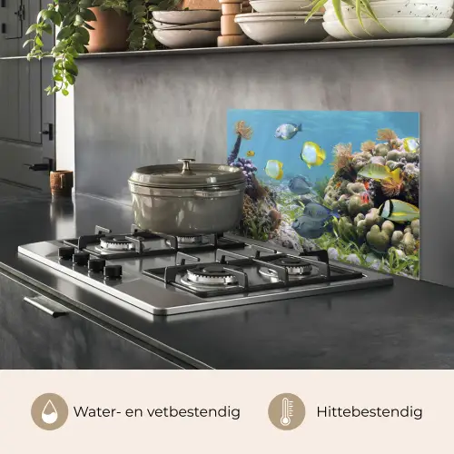 Water - Koralen - Vissen - Lichtinval keuken achterwand spatscherm klein -usp_NL