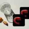 Garnaal - Rood - Dieren onderzetter kurk middel -sfeer4
