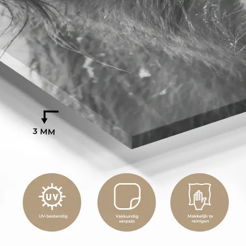 Schotse hooglander - Zwart - Wit - Sneeuwvlokken plexiglas 5mm klein -sfeer2