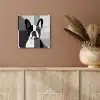 Buldog - Zwart - Abstract - Vlakken plexiglas 5mm klein -sfeer5