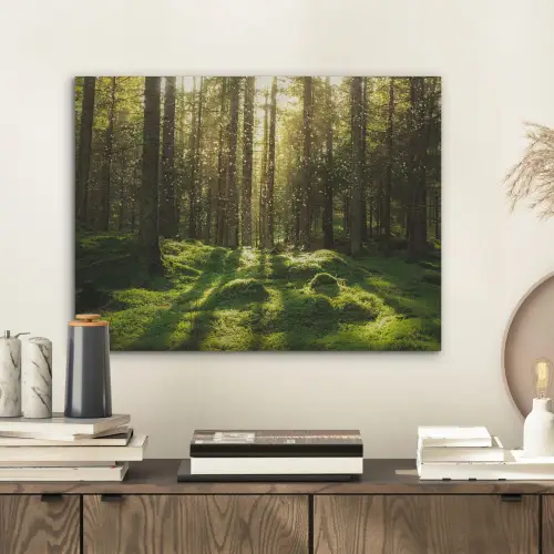 Bomen - Bos - Mos - Planten - Zon - Natuur PET vilt klein -sfeer1
