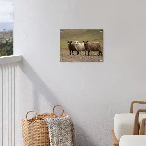 Schapen - Bruin - Wit - Grindpad tuinposter los doek klein -sfeer8