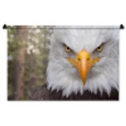 Amerikaans - Zeearend - Portret - Geel Wandkleed katoen middel -zz3d