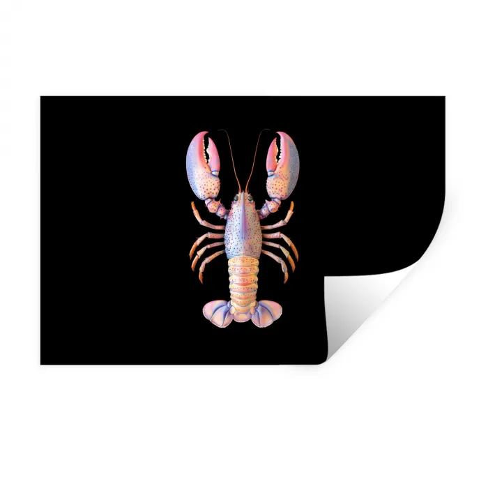 Kreeft - Roze - Zacht - Zwart Muursticker klein -3d
