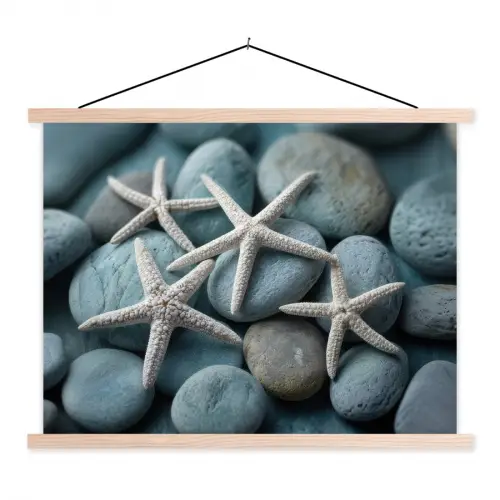 Zeesterren - Stenen - Wit textielposter latten blank klein -3d
