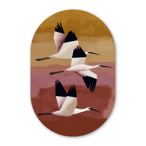 Vogels - Snavel - Abstract Wandcirkel Ovaal Forex klein -3d