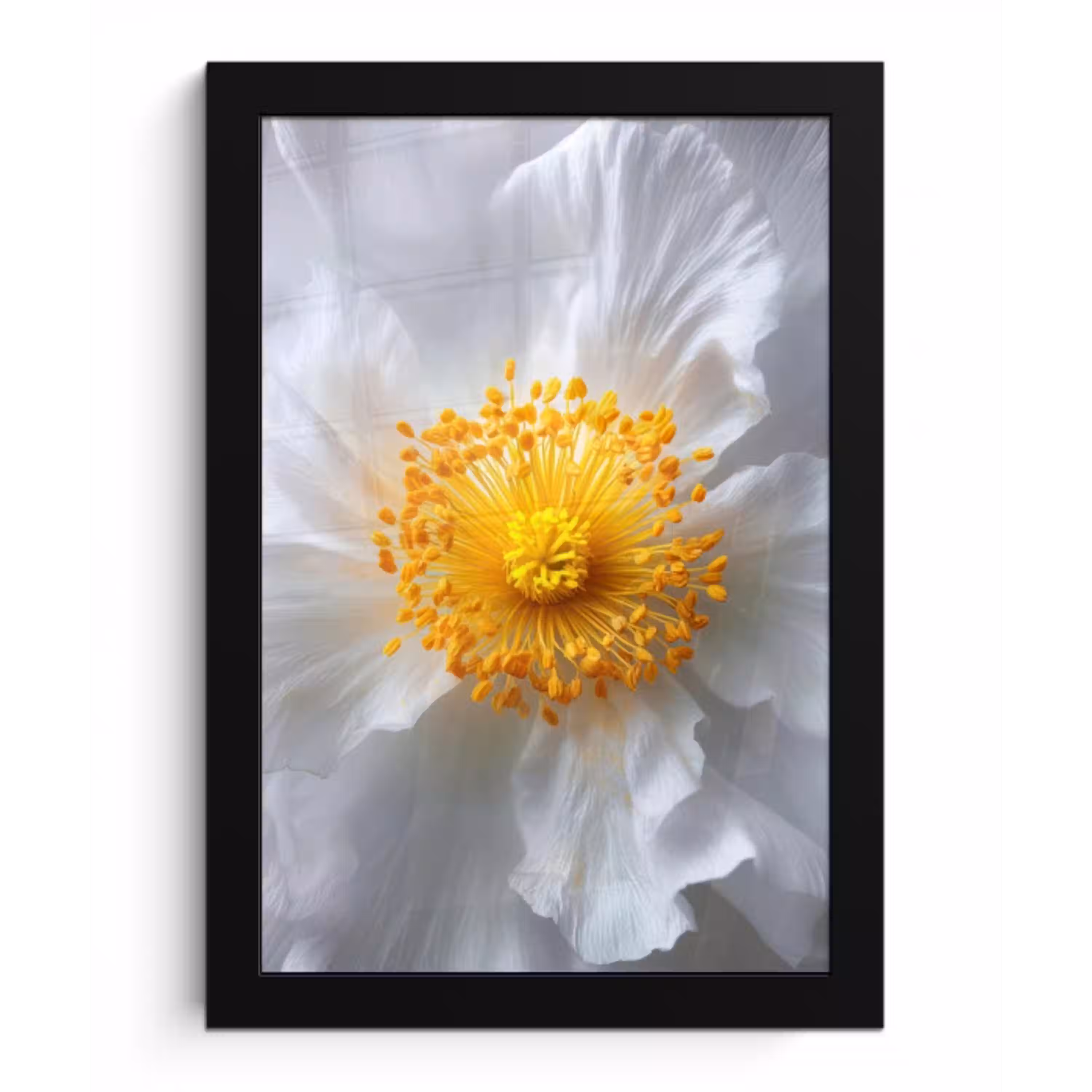 Wit - Bloem - Elegant fotolijst zwart zonder passe partout klein -3d