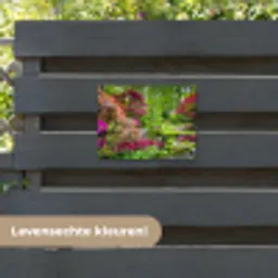 Kleurrijke Japanse tuin tuinposter los doek klein -sfeer3