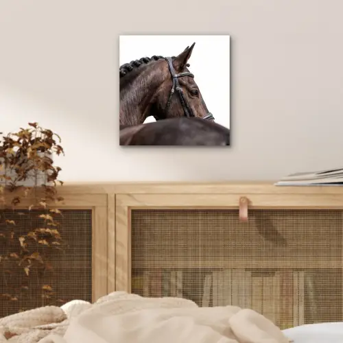 Portret - Paard - Elegant aluminium wit klein -sfeer3