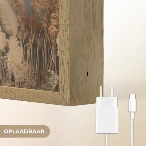 Gedroogde Veldbloemen - Grijs - Beton Light Box met batterij (Wandlamp) middel -USP_websiteoplaadbaarNL