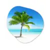Palmboom - Strand - Zee - Zomer Wandcirkel Organisch Forex 3mm klein -3d