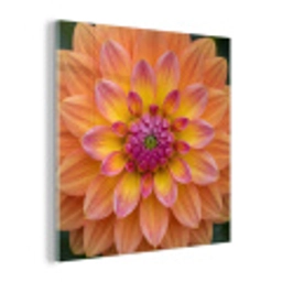 Dahlia - Bloem - Oranje plexiglas 5mm klein -z3d