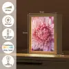 Dahlia - Bloem - Close up - Roze Light Box met kabel (Tafellamp) klein -USP_NL