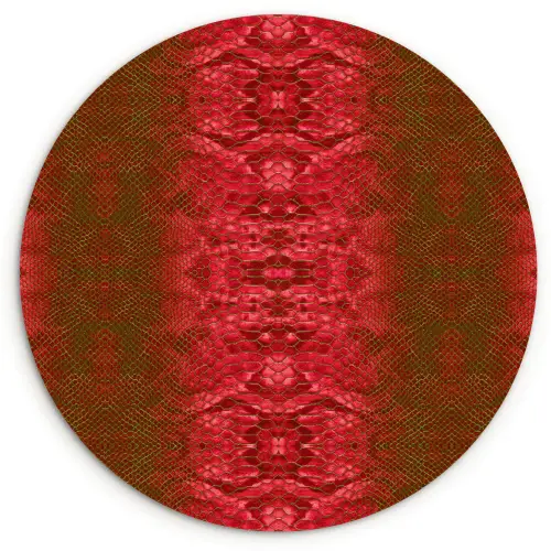 Slang - Boa - Rood -Groen Wandcirkel plexiglas klein 852 -3d