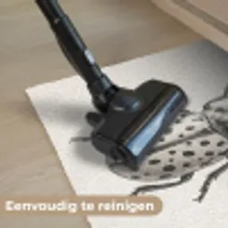 Kever - Insect - Vintage Deurmat klein -reinigen_NL