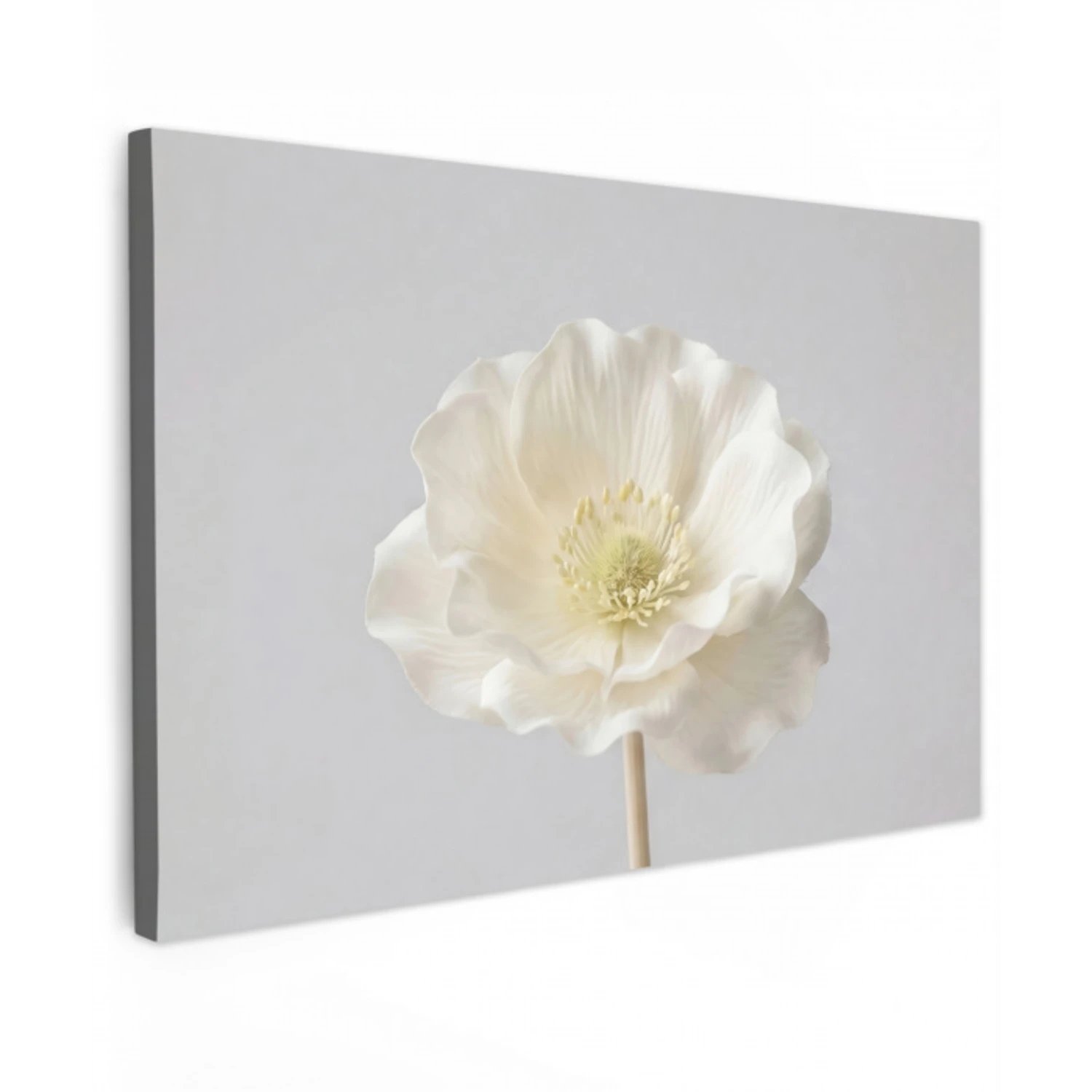 Bloem - Minimalistisch -Wit Tuinposter op houten frame 2 cm dik klein -3d