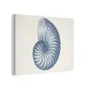 Blauw - Schelp - Spiraal PET vilt klein -3d
