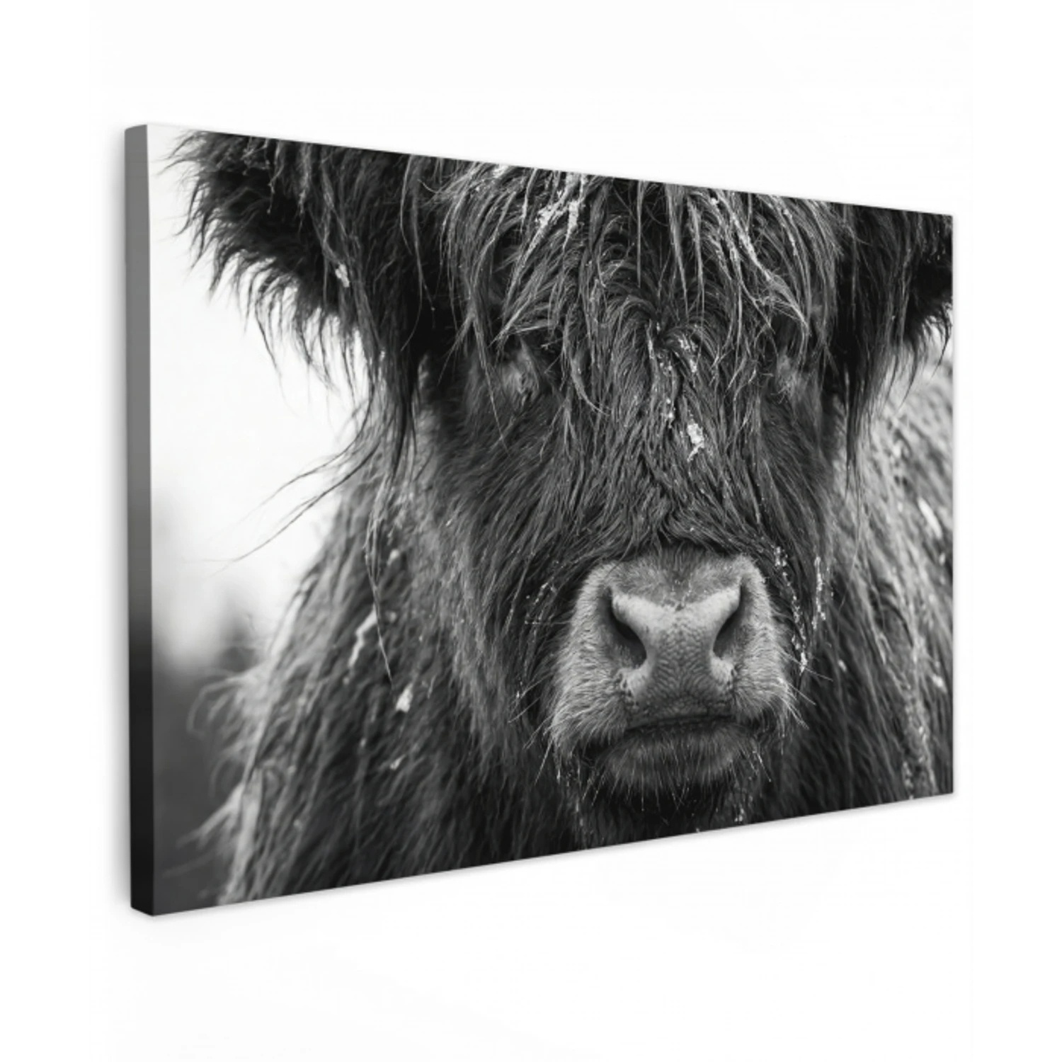Schotse hooglander - Zwart - Wit - Sneeuwvlokken Tuinposter op houten frame 2 cm dik klein -3d