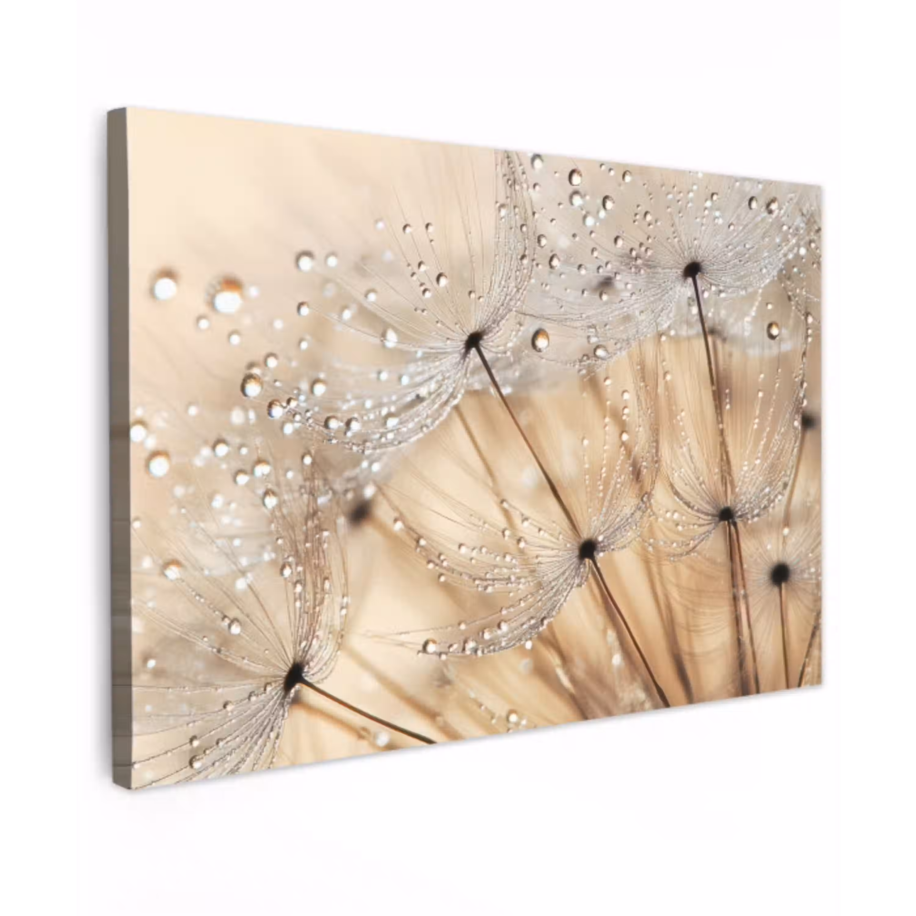 Paardenbloem - Abstract - Natuur - Beige canvas 2cm klein -z3d