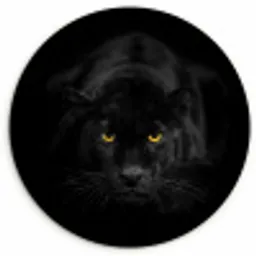 Panter - Dieren - Zwart - Ogen Wandcirkel kunststof plaat 5mm dik klein -3d