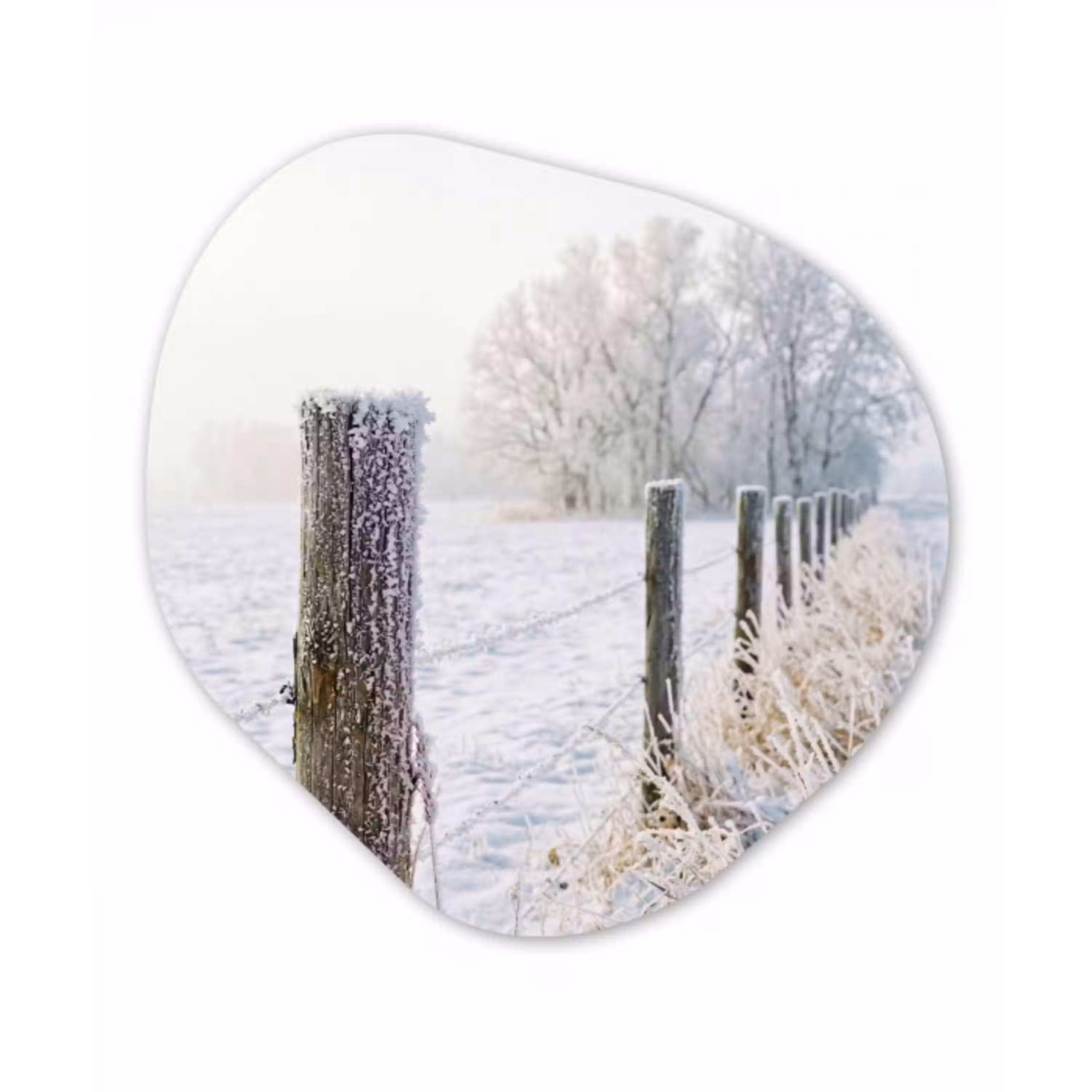 Hek - Sneeuw - Mist - Platteland - Nostalgisch Wandcirkel Organisch Forex 3mm klein -3d