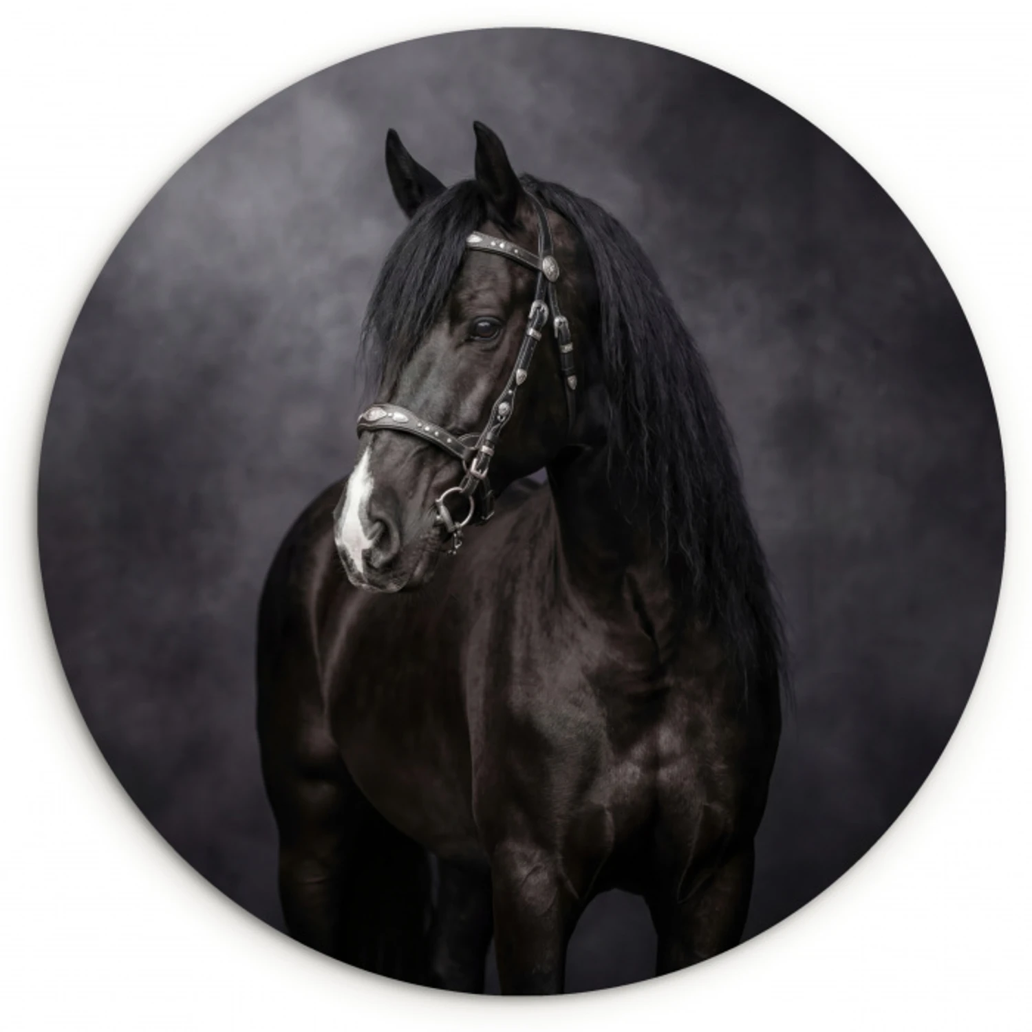 Portret - Paard - Zwart Wandcirkel kunststof plaat 5mm dik klein -3d
