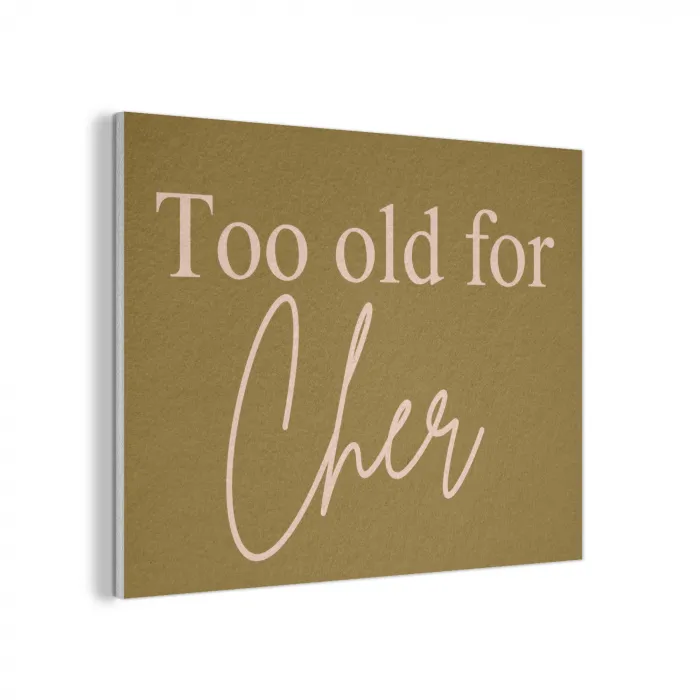 Groen - Too old for cher - Roze PET vilt klein -3d